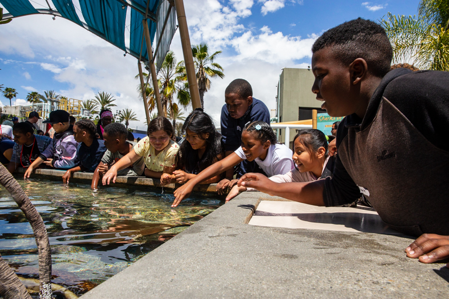 Kids at touchpool