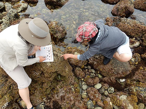 Community science bioblitz